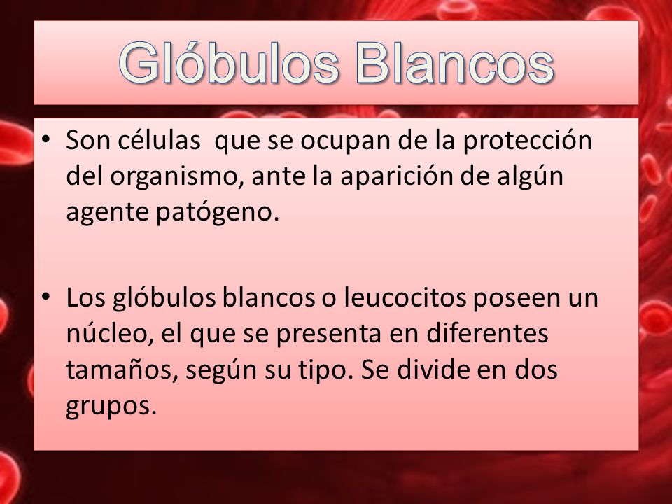 Glóbulos Blancos Son células que se ocupan de la protección del organismo, ante la aparición de algún agente patógeno.