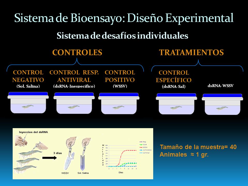 Sistema de Bioensayo: Diseño Experimental