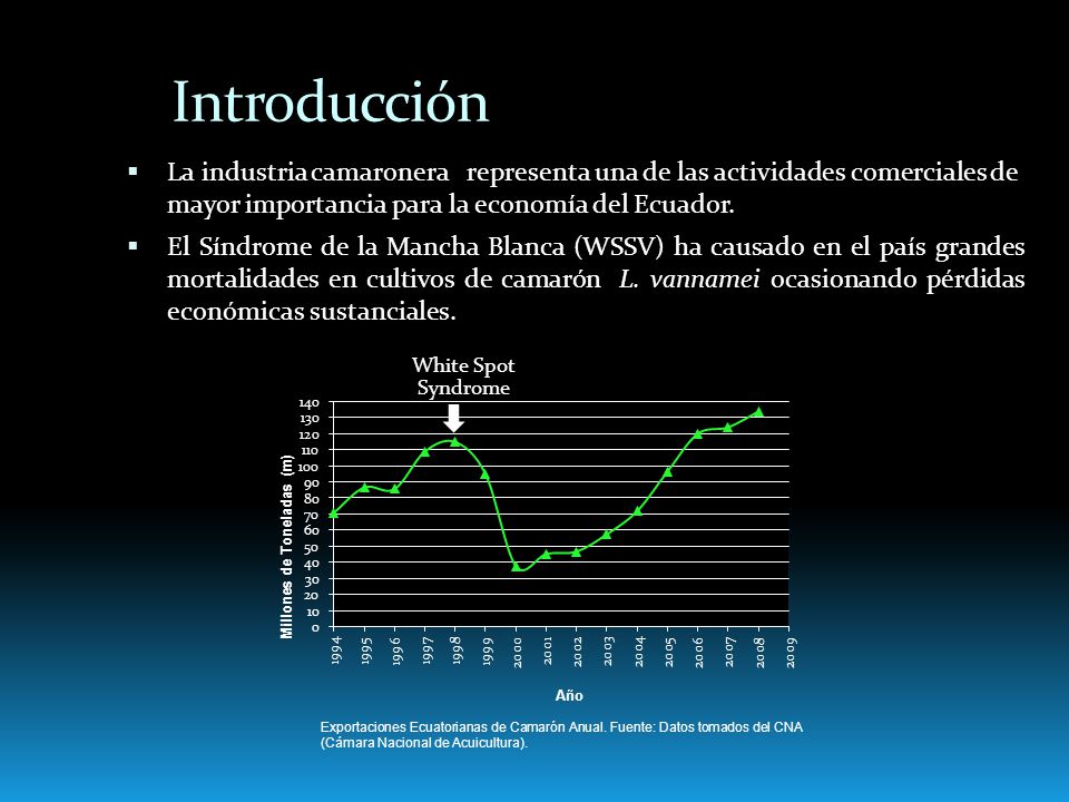 Introducción La industria camaronera representa una de las actividades comerciales de mayor importancia para la economía del Ecuador.