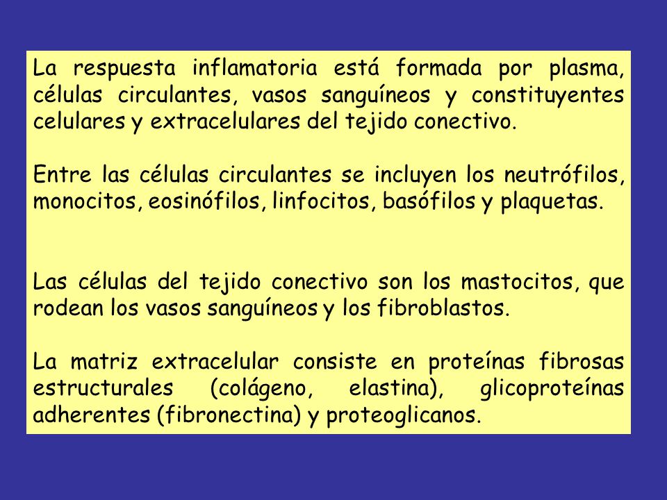La respuesta inflamatoria está formada por plasma, células circulantes, vasos sanguíneos y constituyentes celulares y extracelulares del tejido conectivo.
