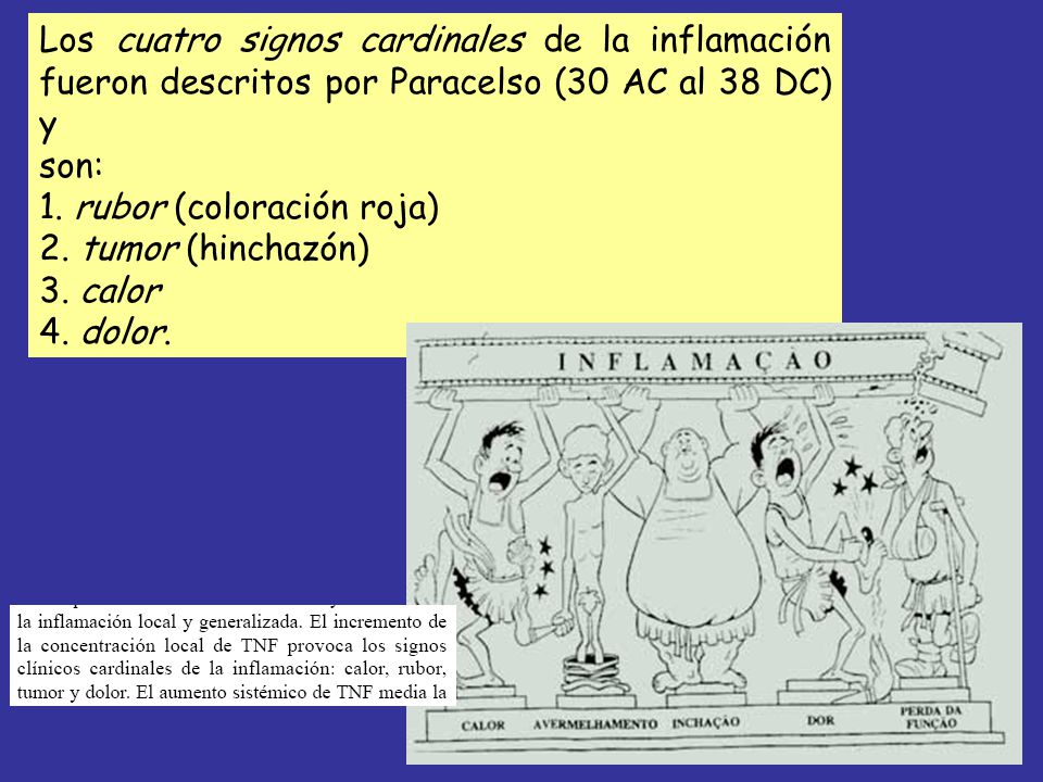 Los cuatro signos cardinales de la inflamación fueron descritos por Paracelso (30 AC al 38 DC) y