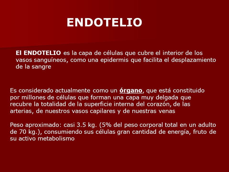 ENDOTELIO El ENDOTELIO es la capa de células que cubre el interior de los. vasos sanguíneos, como una epidermis que facilita el desplazamiento.