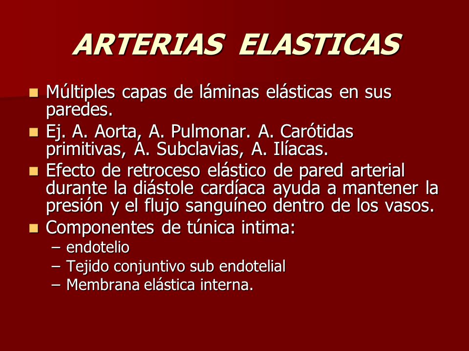ARTERIAS ELASTICAS Múltiples capas de láminas elásticas en sus paredes.