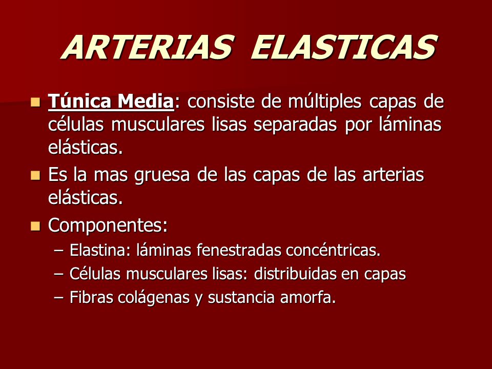 ARTERIAS ELASTICAS Túnica Media: consiste de múltiples capas de células musculares lisas separadas por láminas elásticas.