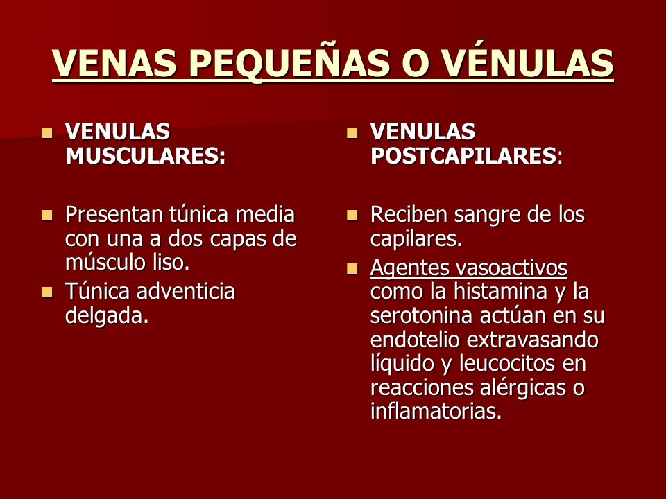 VENAS PEQUEÑAS O VÉNULAS