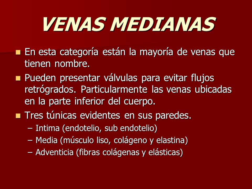 VENAS MEDIANAS En esta categoría están la mayoría de venas que tienen nombre.