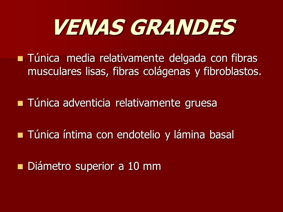VENAS GRANDES Túnica media relativamente delgada con fibras musculares lisas, fibras colágenas y fibroblastos.