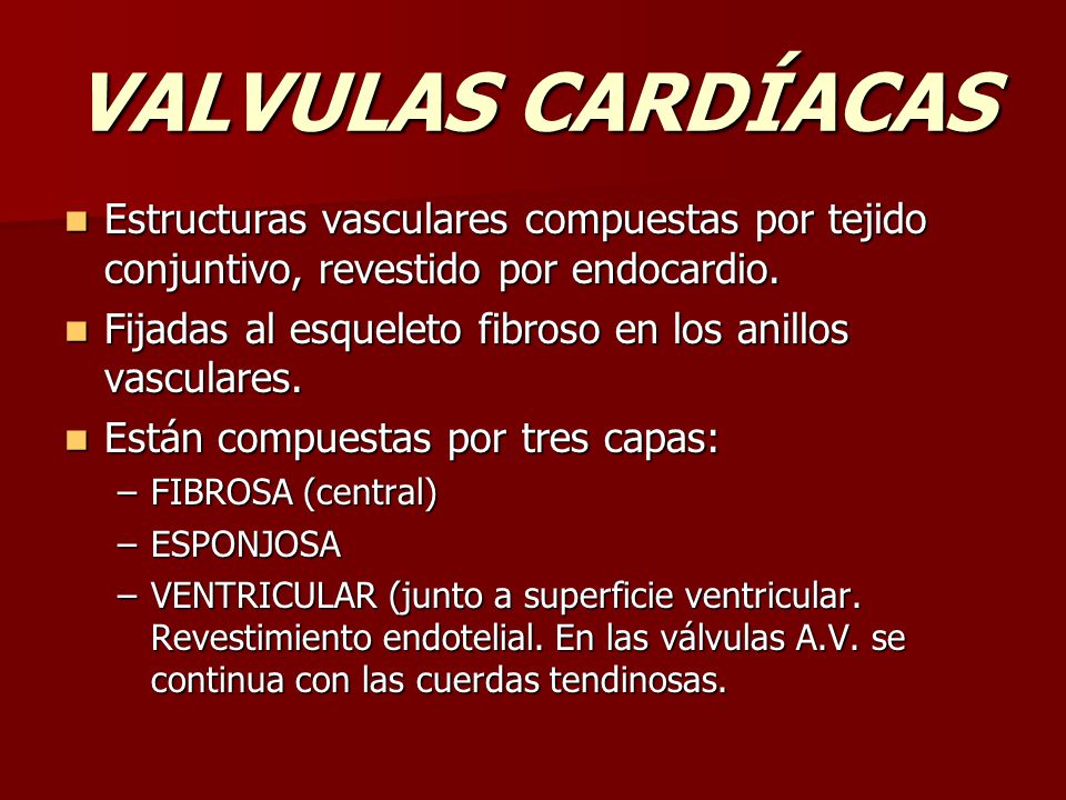 VALVULAS CARDÍACAS Estructuras vasculares compuestas por tejido conjuntivo, revestido por endocardio.
