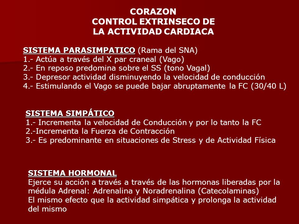 CORAZON CONTROL EXTRINSECO DE LA ACTIVIDAD CARDIACA