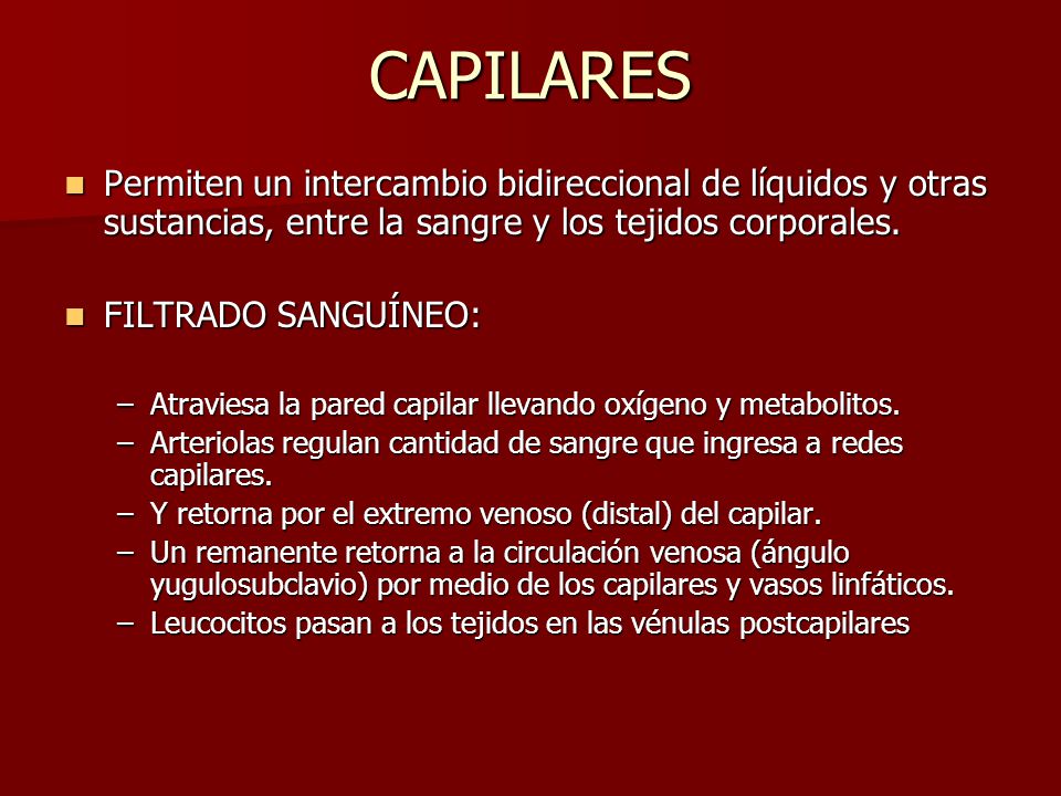 CAPILARES Permiten un intercambio bidireccional de líquidos y otras sustancias, entre la sangre y los tejidos corporales.
