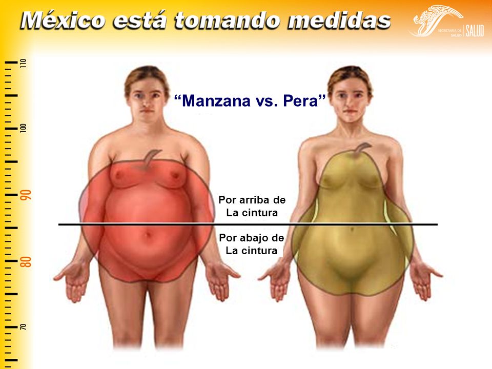 Manzana vs. Pera Por arriba de La cintura Por abajo de La cintura