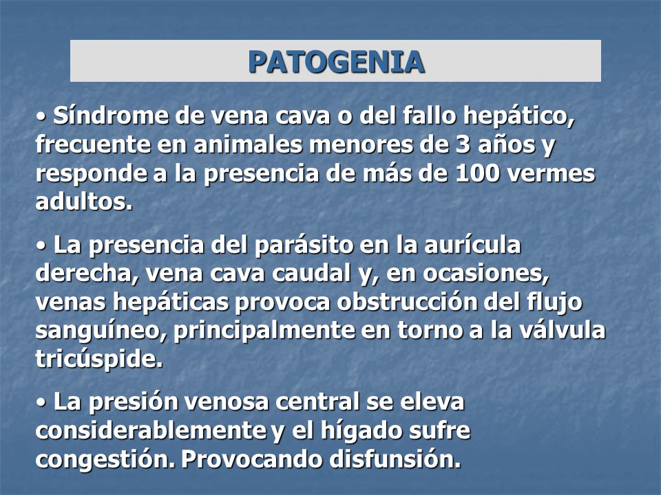 PATOGENIA Síndrome de vena cava o del fallo hepático, frecuente en animales menores de 3 años y responde a la presencia de más de 100 vermes adultos.