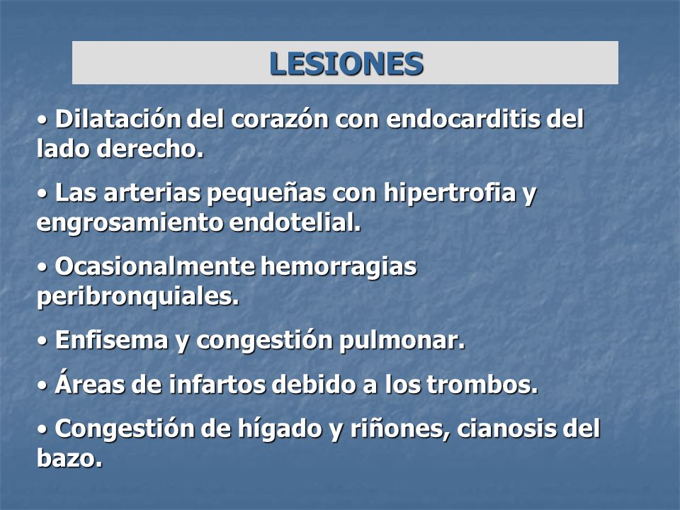 LESIONES Dilatación del corazón con endocarditis del lado derecho.