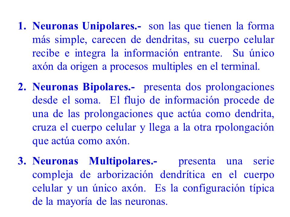 Neuronas Unipolares.- son las que tienen la forma más simple, carecen de dendritas, su cuerpo celular recibe e integra la información entrante. Su único axón da origen a procesos multiples en el terminal.
