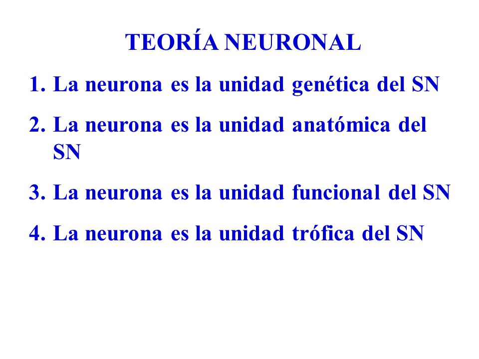 TEORÍA NEURONAL La neurona es la unidad genética del SN