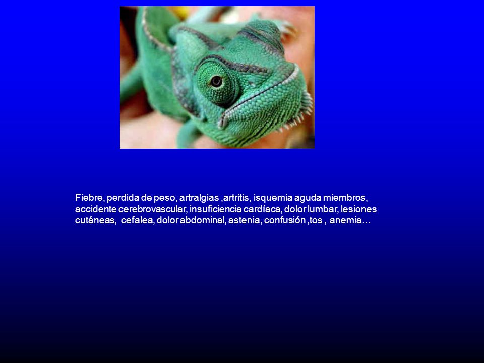 Fiebre, perdida de peso, artralgias ,artritis, isquemia aguda miembros, accidente cerebrovascular, insuficiencia cardíaca, dolor lumbar, lesiones cutáneas, cefalea, dolor abdominal, astenia, confusión ,tos , anemia…