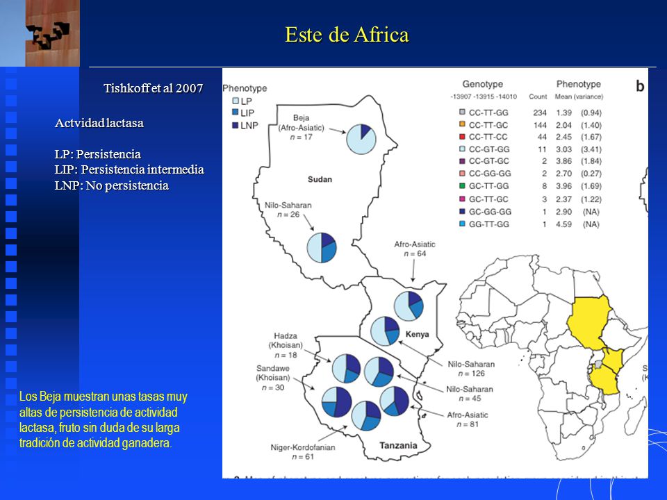 Este de Africa Tishkoff et al 2007 Actvidad lactasa LP: Persistencia