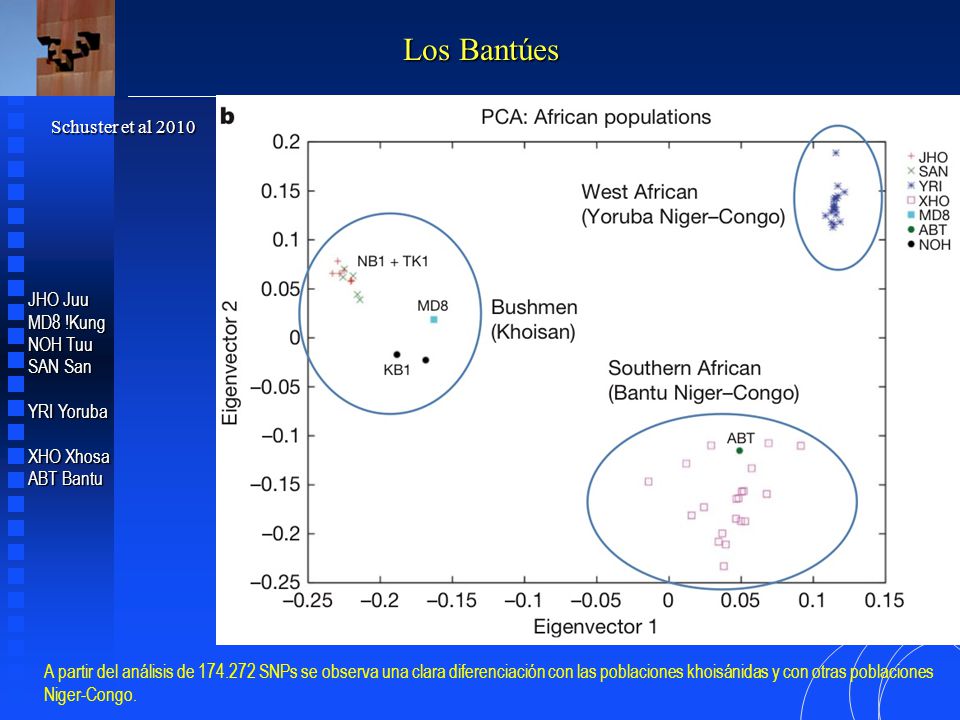 Los Bantúes Schuster et al 2010 JHO Juu MD8 !Kung NOH Tuu SAN San