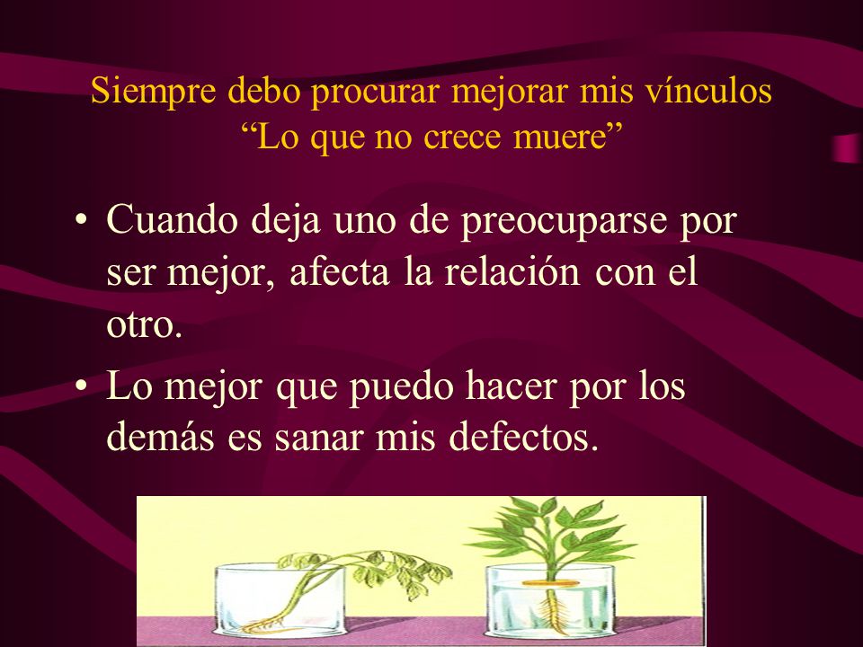 Siempre debo procurar mejorar mis vínculos Lo que no crece muere