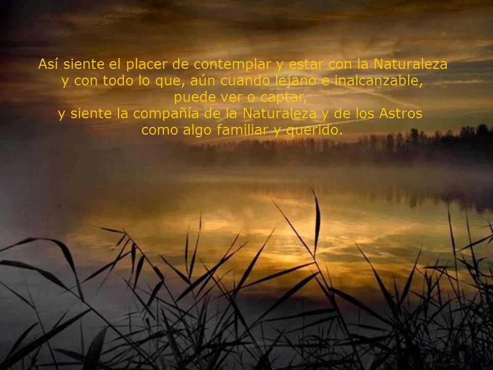 Así siente el placer de contemplar y estar con la Naturaleza