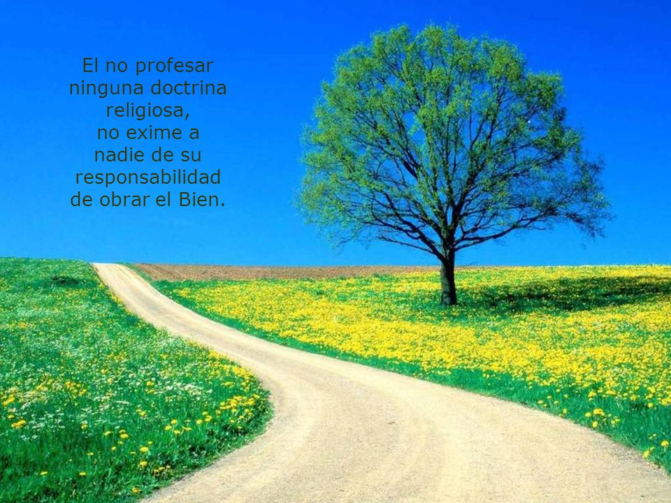 El no profesar ninguna doctrina religiosa, no exime a nadie de su