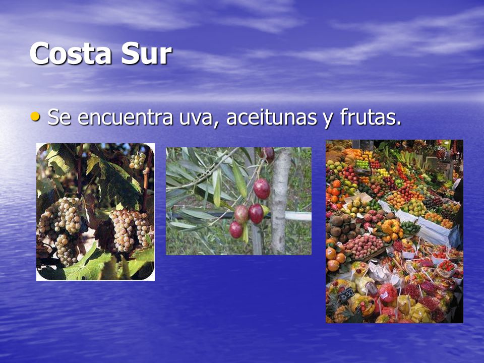 Costa Sur Se encuentra uva, aceitunas y frutas.