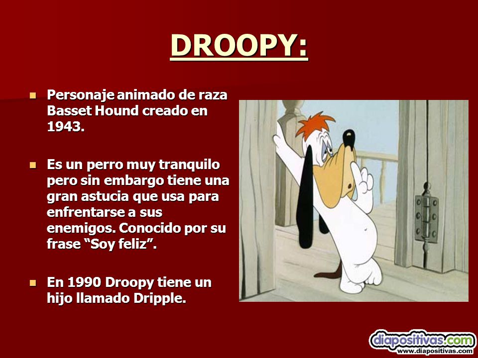 DROOPY: Personaje animado de raza Basset Hound creado en 1943.