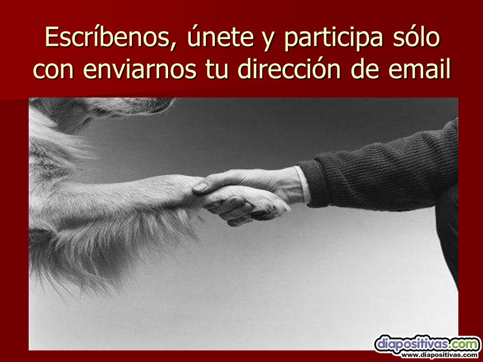Escríbenos, únete y participa sólo con enviarnos tu dirección de