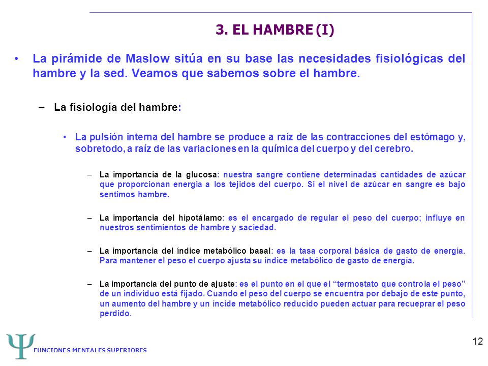 3. EL HAMBRE (I) La pirámide de Maslow sitúa en su base las necesidades fisiológicas del hambre y la sed. Veamos que sabemos sobre el hambre.