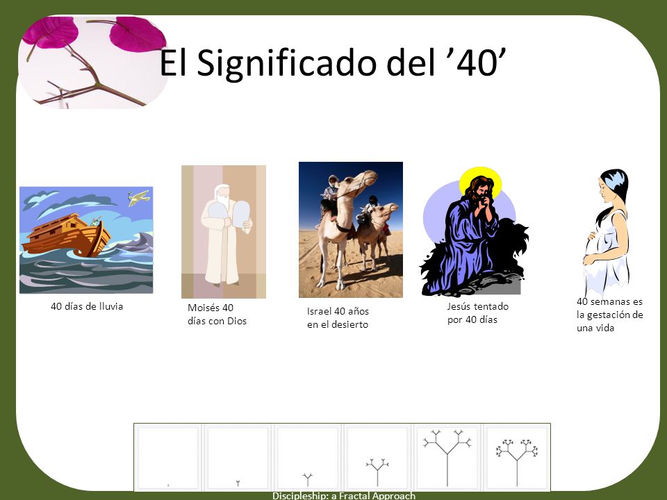 El Significado del ’40’ 40 semanas es la gestación de una vida