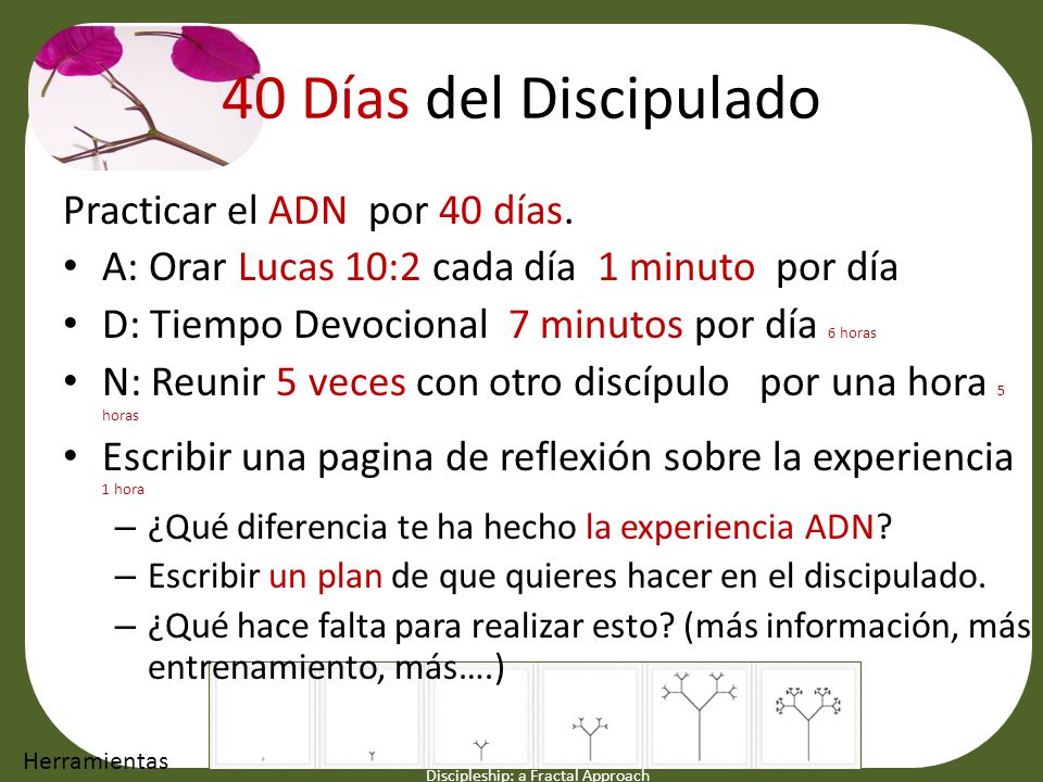 40 Días del Discipulado Practicar el ADN por 40 días.