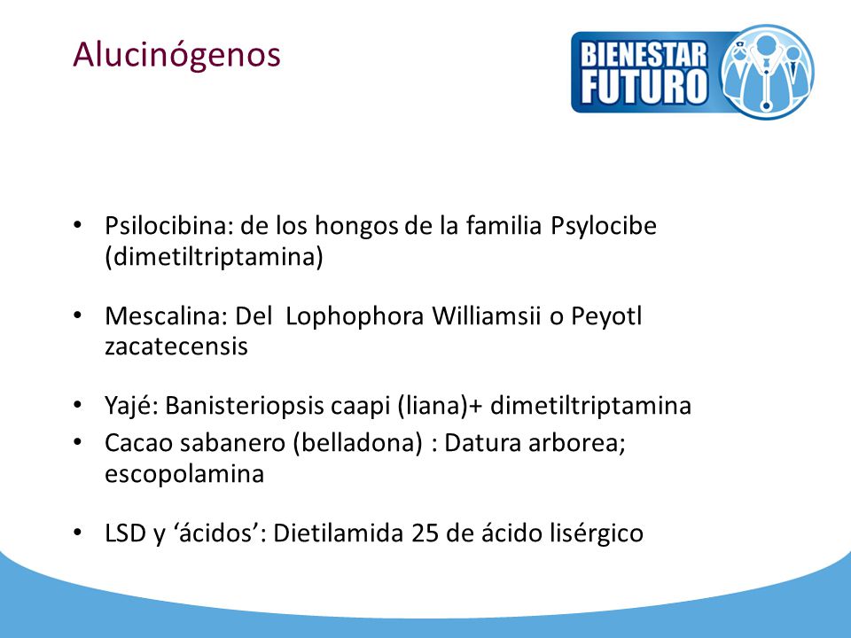 Alucinógenos Psilocibina: de los hongos de la familia Psylocibe (dimetiltriptamina) Mescalina: Del Lophophora Williamsii o Peyotl zacatecensis.
