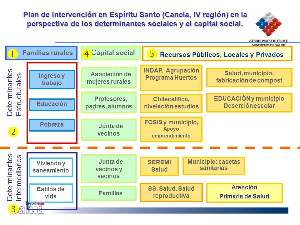 Plan de intervención en Espíritu Santo (Canela, IV región) en la perspectiva de los determinantes sociales y el capital social.
