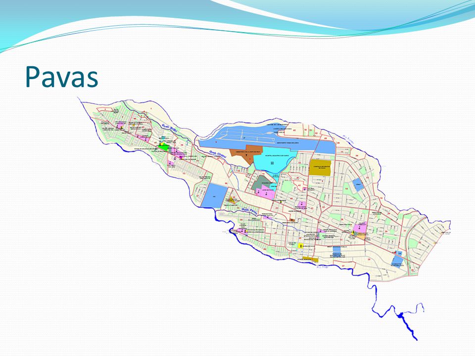 Pavas