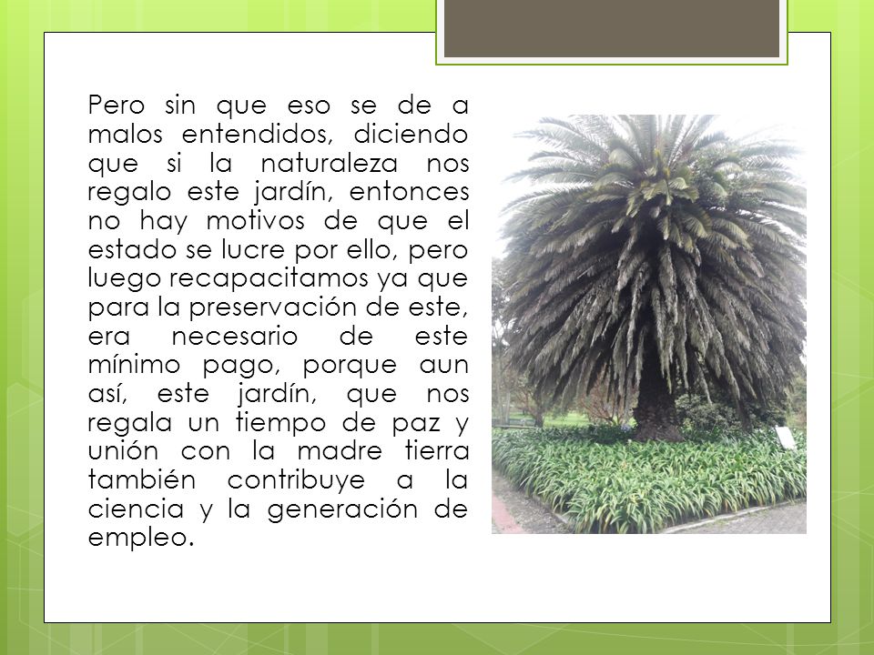 Pero sin que eso se de a malos entendidos, diciendo que si la naturaleza nos regalo este jardín, entonces no hay motivos de que el estado se lucre por ello, pero luego recapacitamos ya que para la preservación de este, era necesario de este mínimo pago, porque aun así, este jardín, que nos regala un tiempo de paz y unión con la madre tierra también contribuye a la ciencia y la generación de empleo.