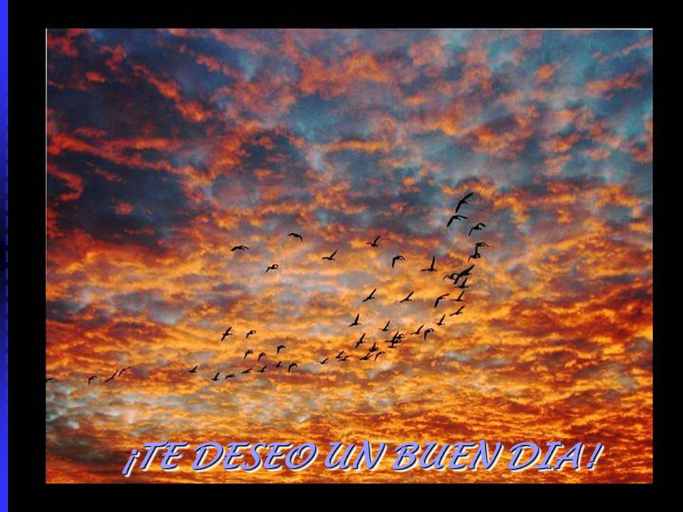 ¡TE DESEO UN BUEN DIA!