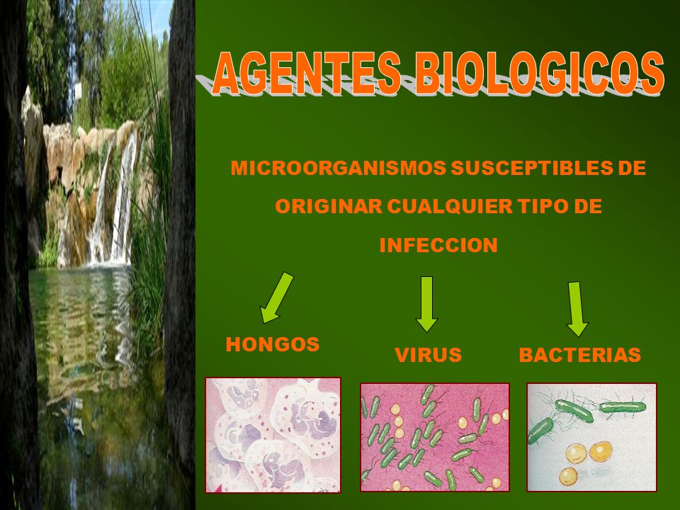 MICROORGANISMOS SUSCEPTIBLES DE ORIGINAR CUALQUIER TIPO DE INFECCION