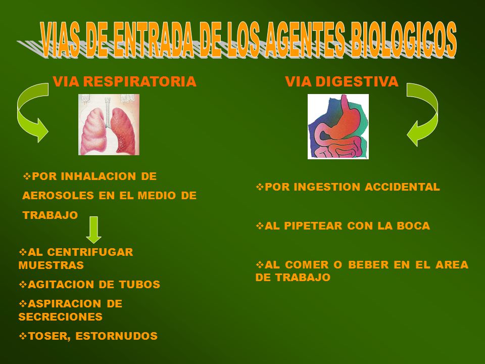 VIAS DE ENTRADA DE LOS AGENTES BIOLOGICOS