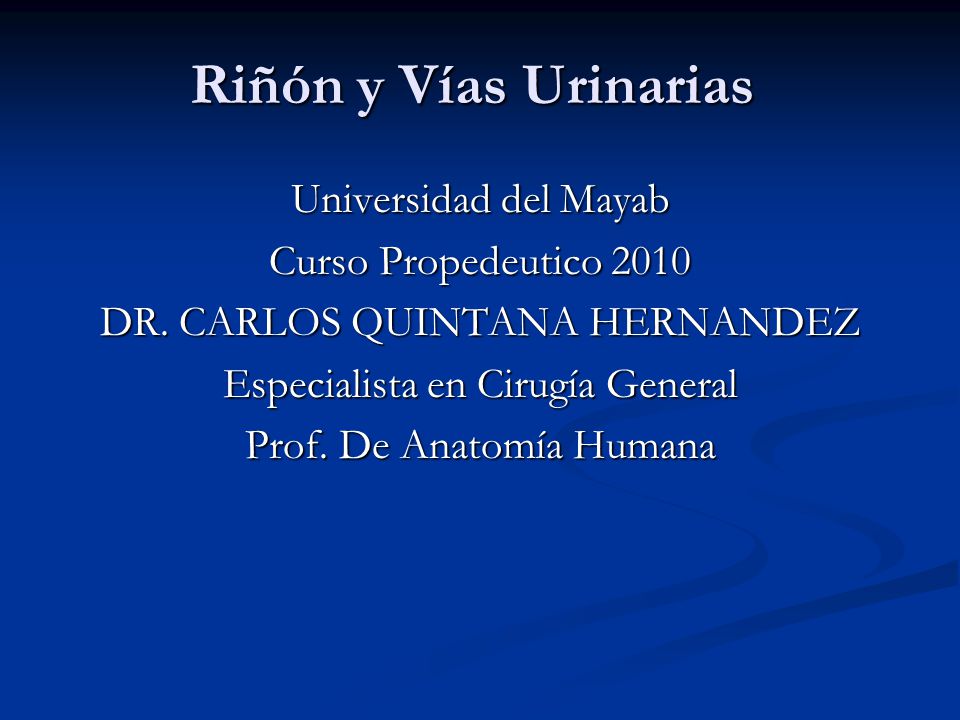 Riñón y Vías Urinarias Universidad del Mayab Curso Propedeutico 2010