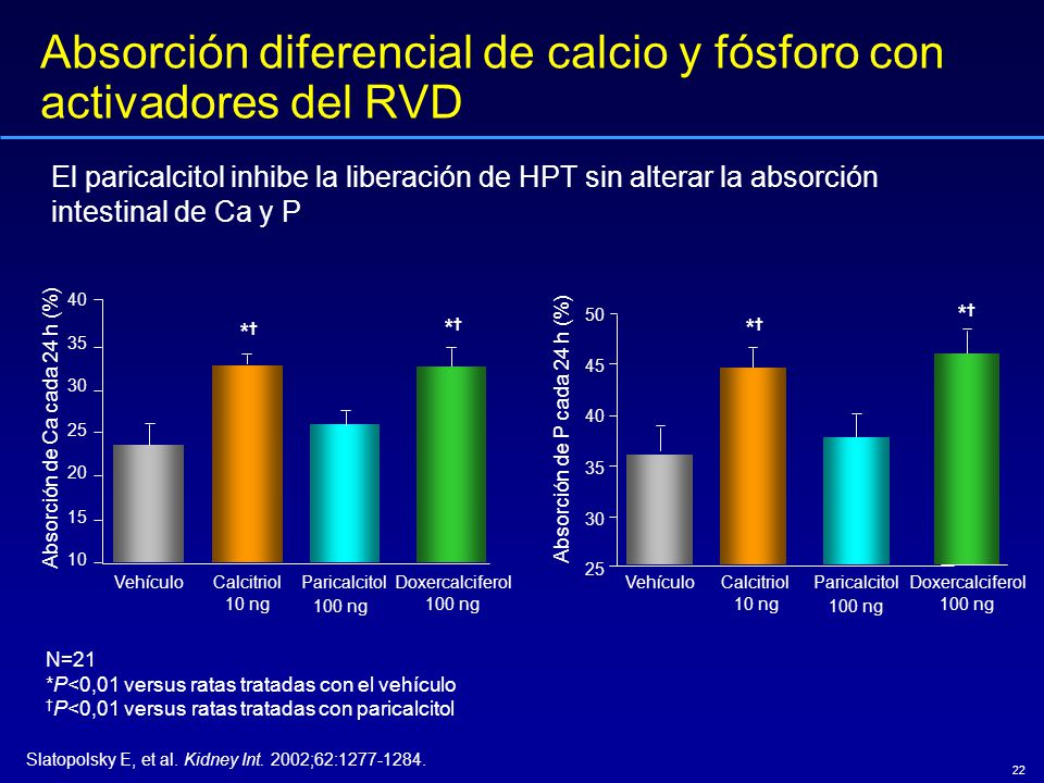 Absorción diferencial de calcio y fósforo con activadores del RVD