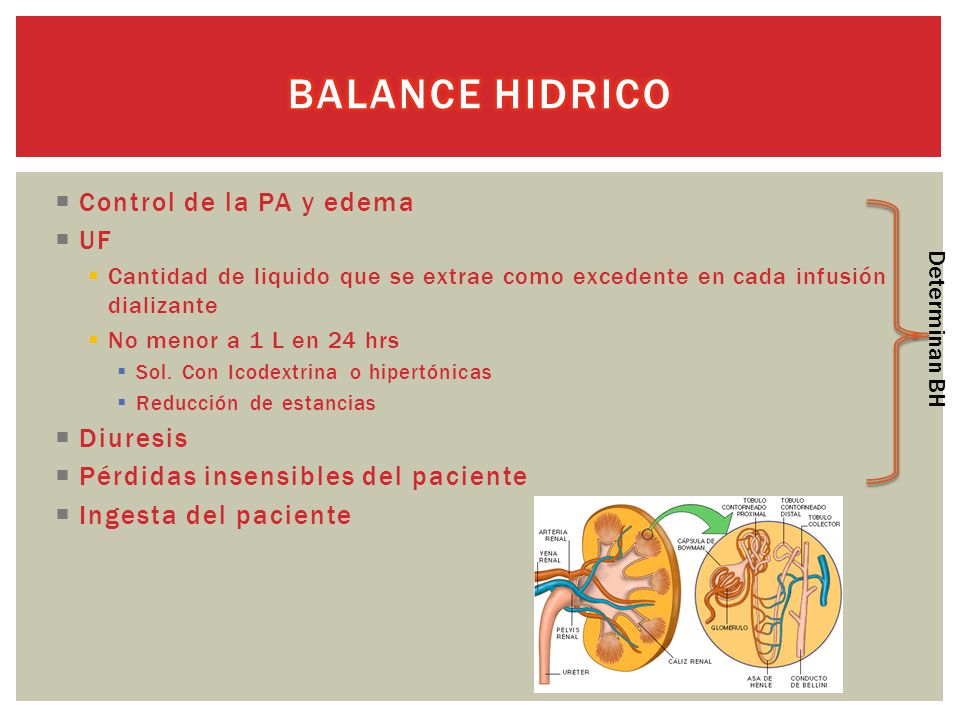 Balance hidrico Control de la PA y edema UF Diuresis
