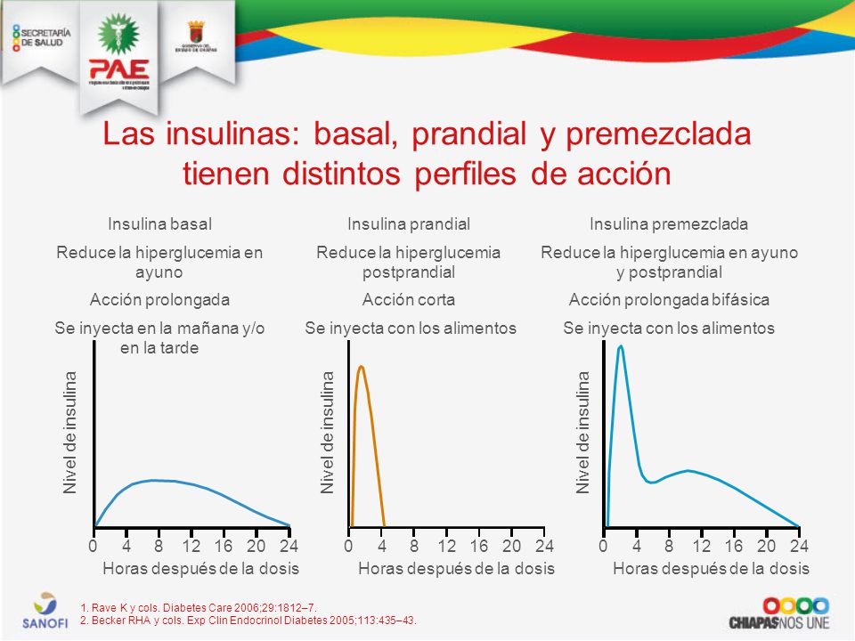 Las insulinas: basal, prandial y premezclada tienen distintos perfiles de acción
