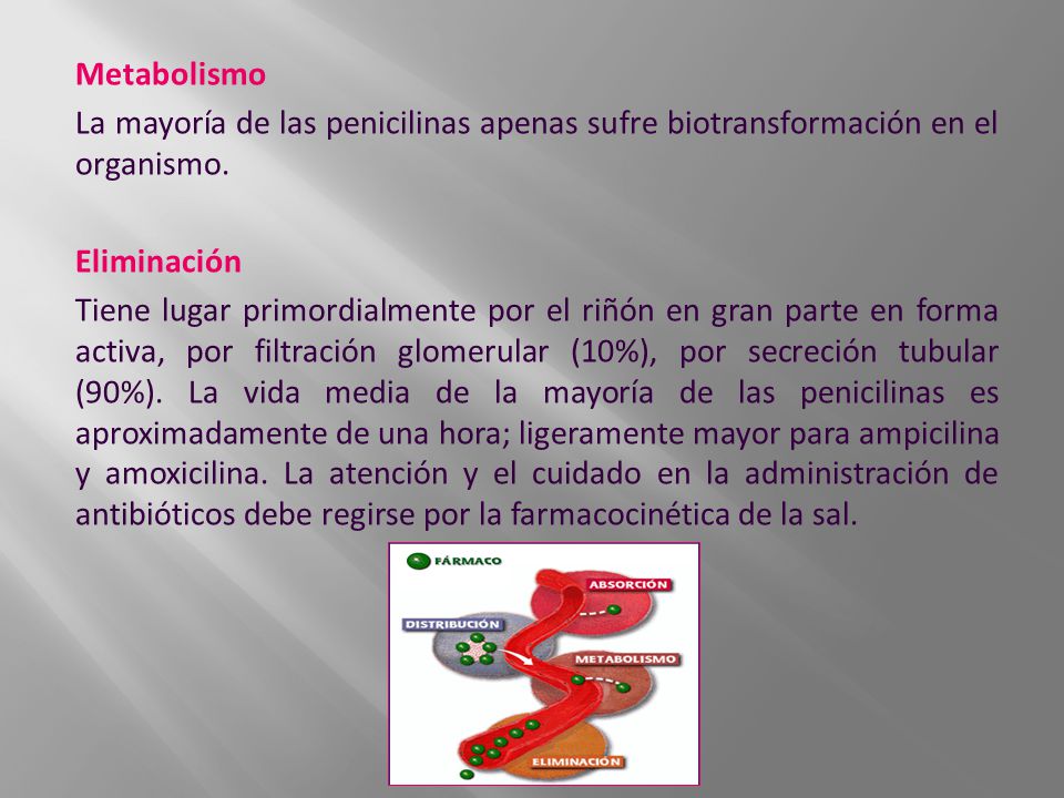 Metabolismo La mayoría de las penicilinas apenas sufre biotransformación en el organismo. Eliminación.