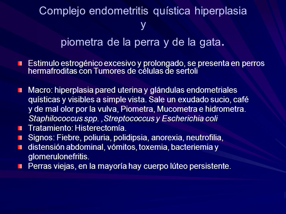 Complejo endometritis quística hiperplasia y piometra de la perra y de la gata.