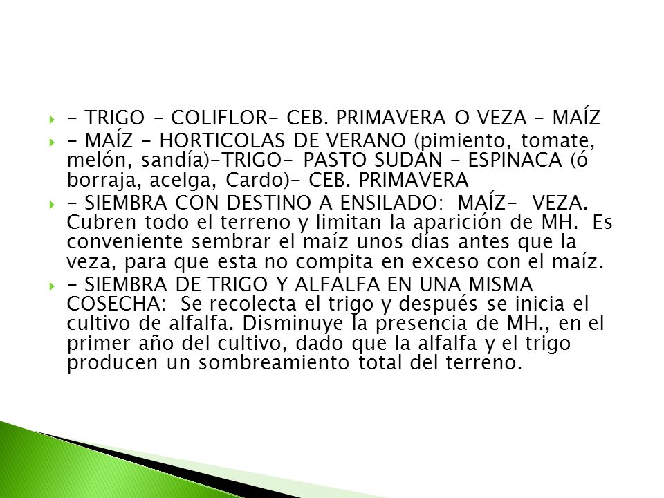 - TRIGO - COLIFLOR- CEB. PRIMAVERA O VEZA - MAÍZ