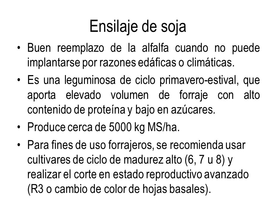 Ensilaje de soja Buen reemplazo de la alfalfa cuando no puede implantarse por razones edáficas o climáticas.