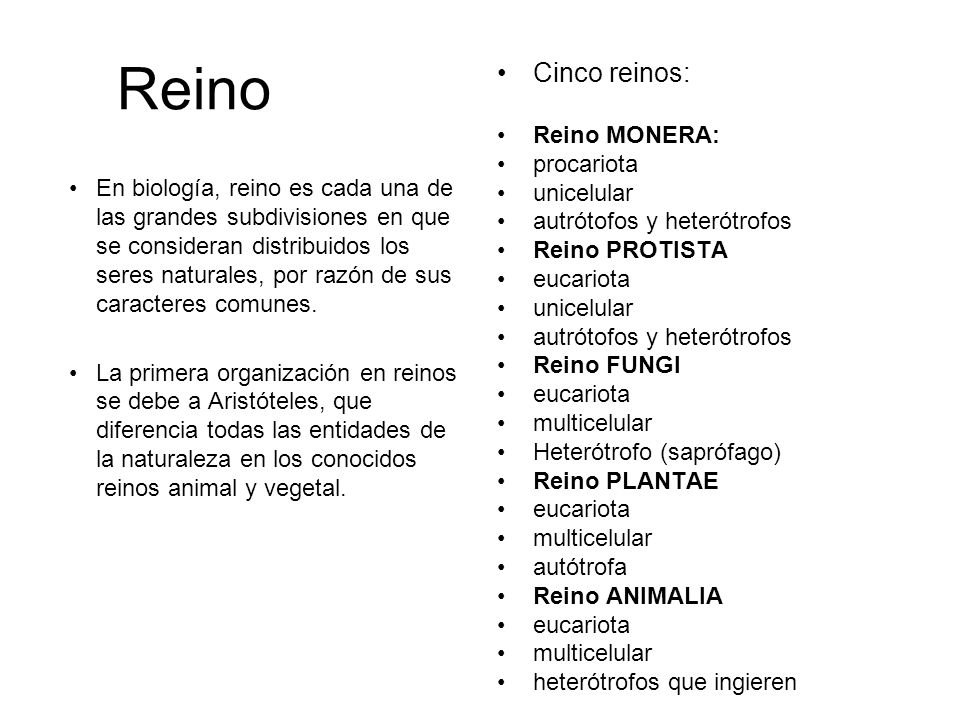 Reino Cinco reinos: Reino MONERA: procariota unicelular