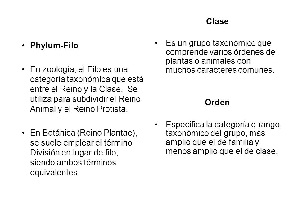 Clase Es un grupo taxonómico que comprende varios órdenes de plantas o animales con muchos caracteres comunes.