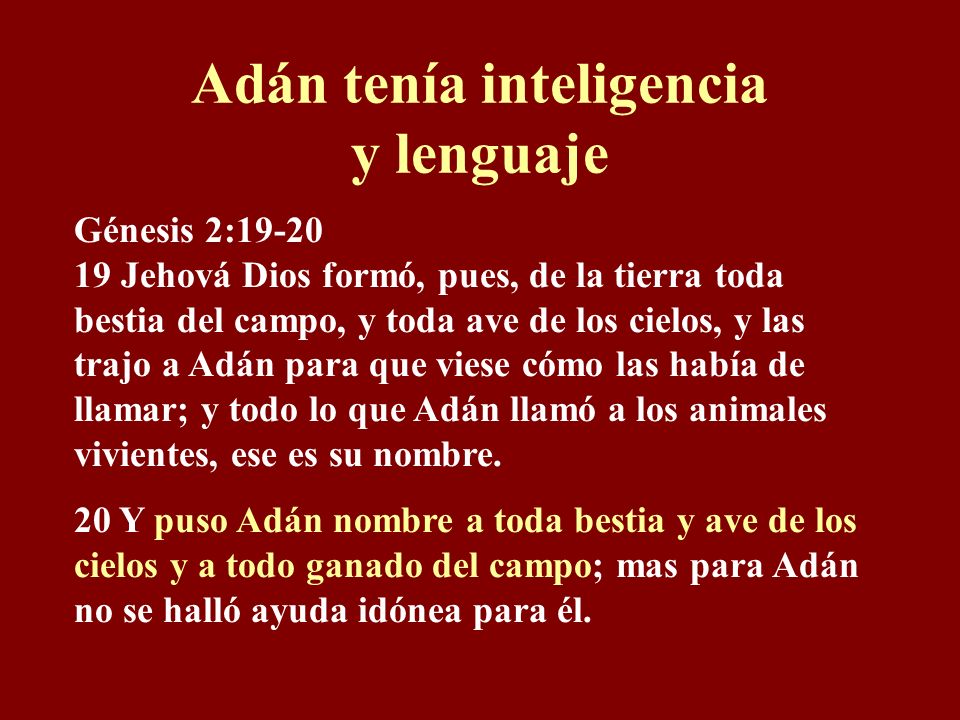 Adán tenía inteligencia y lenguaje