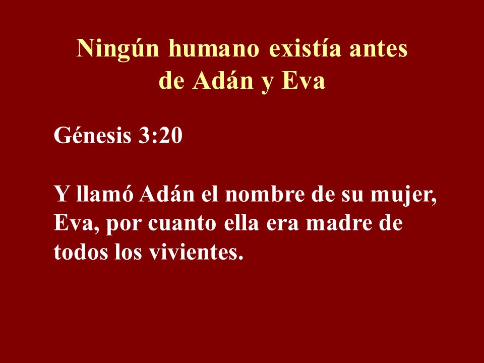 Ningún humano existía antes de Adán y Eva